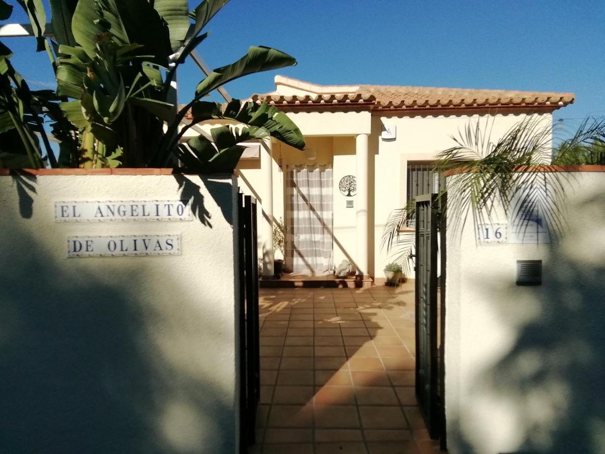 Guest House El Angelito De Olivas Педрегер Экстерьер фото